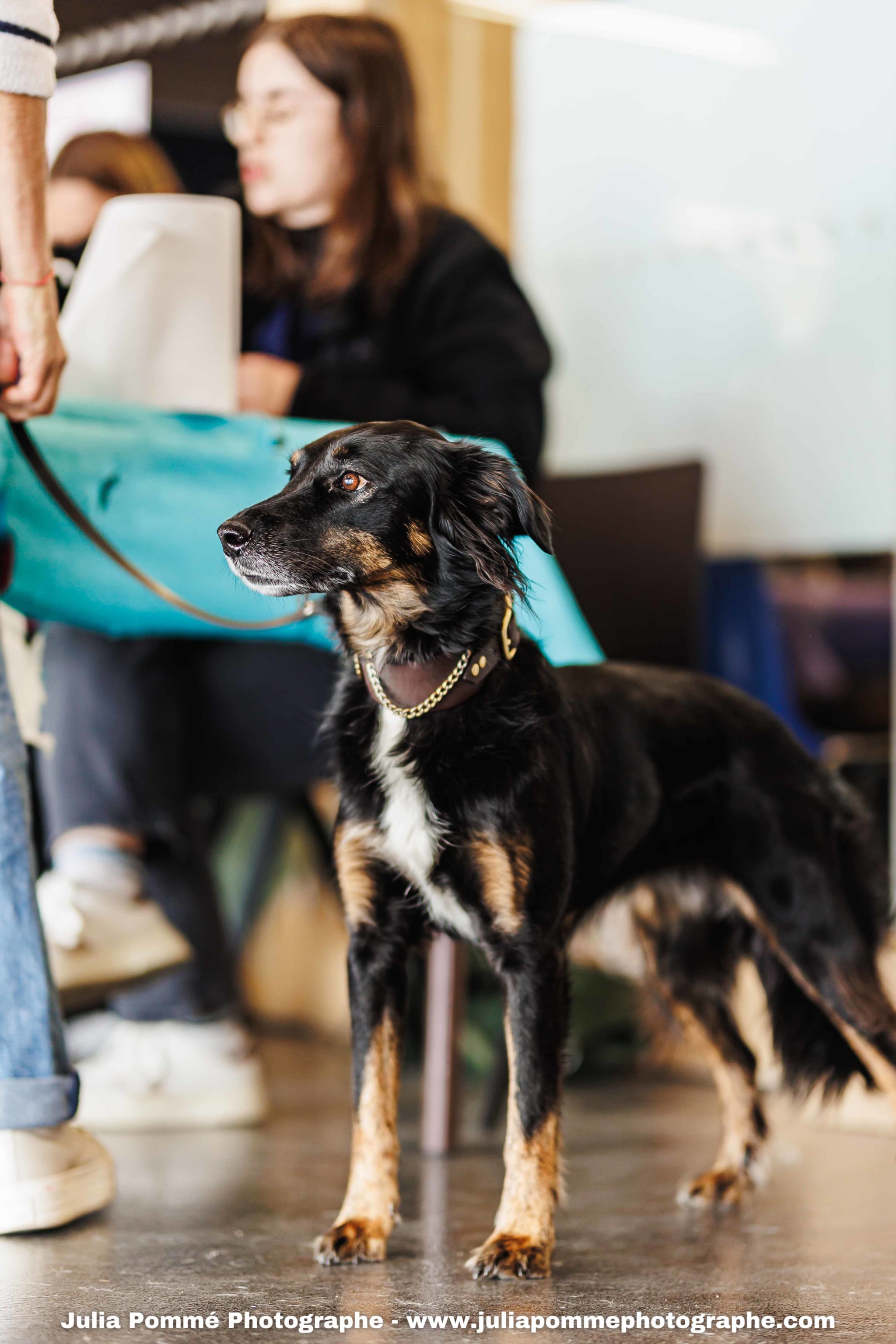 Photo du salon 2025 par Julia Pommé Photographe.