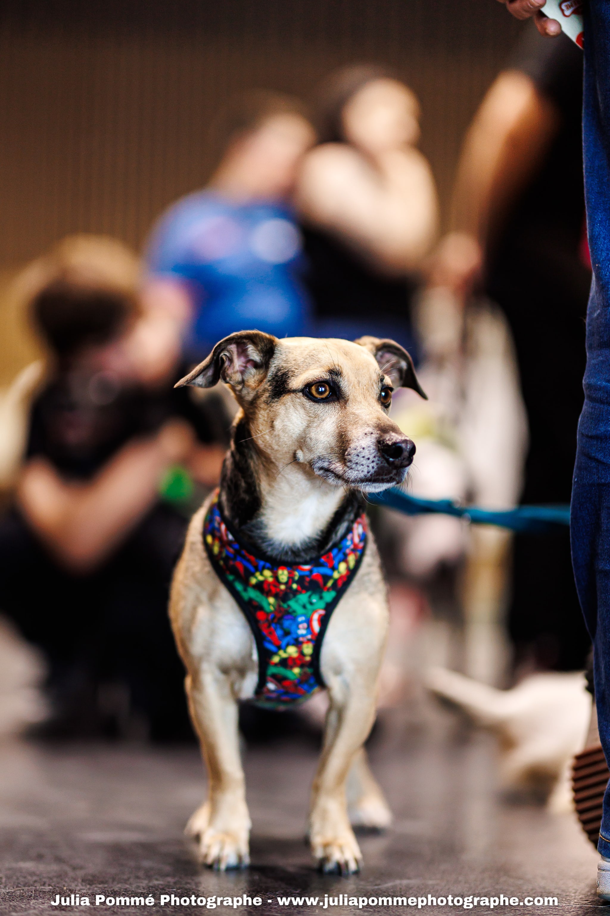 Photo du salon 2025 par Julia Pommé Photographe.