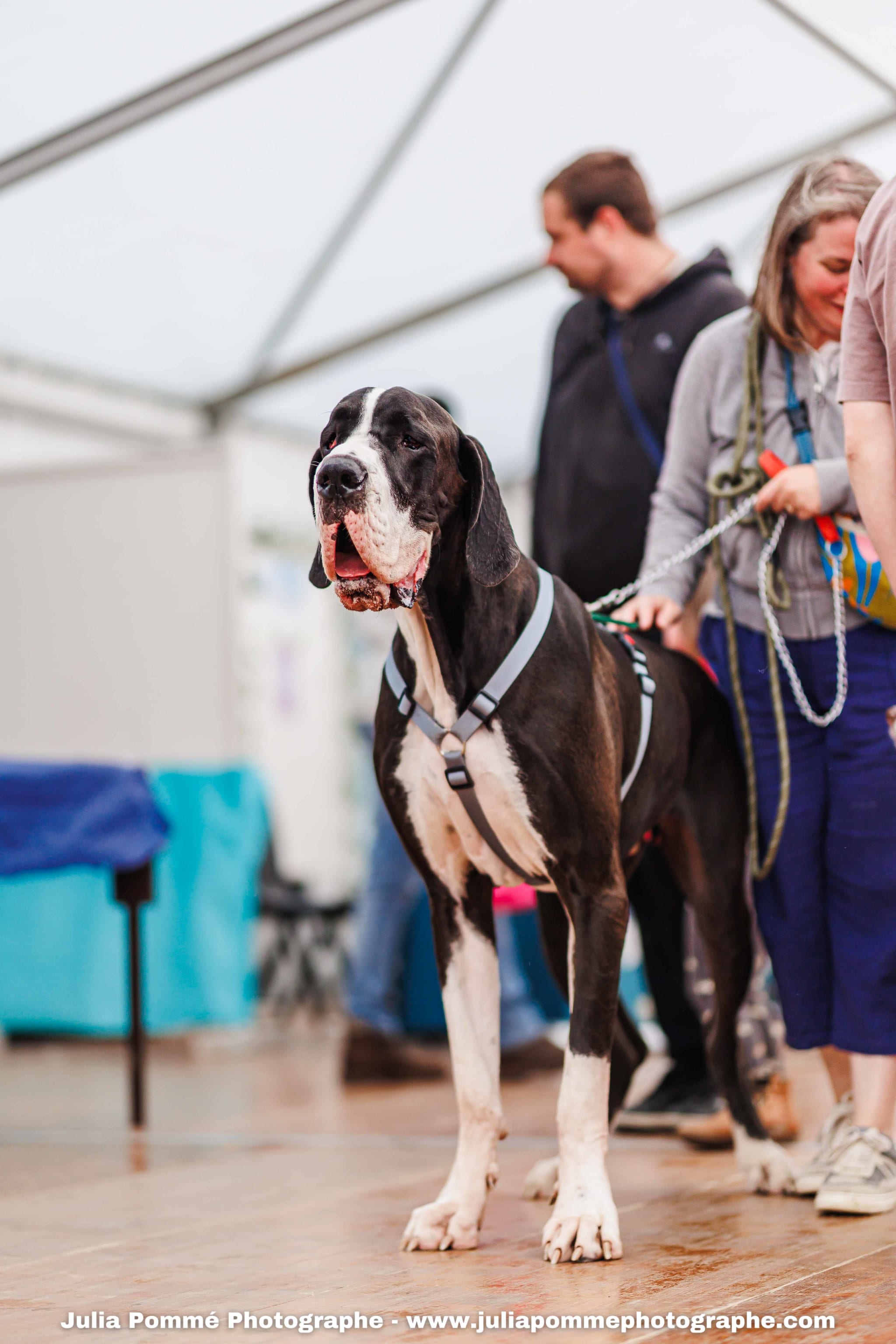 Photo du salon 2025 par Julia Pommé Photographe.