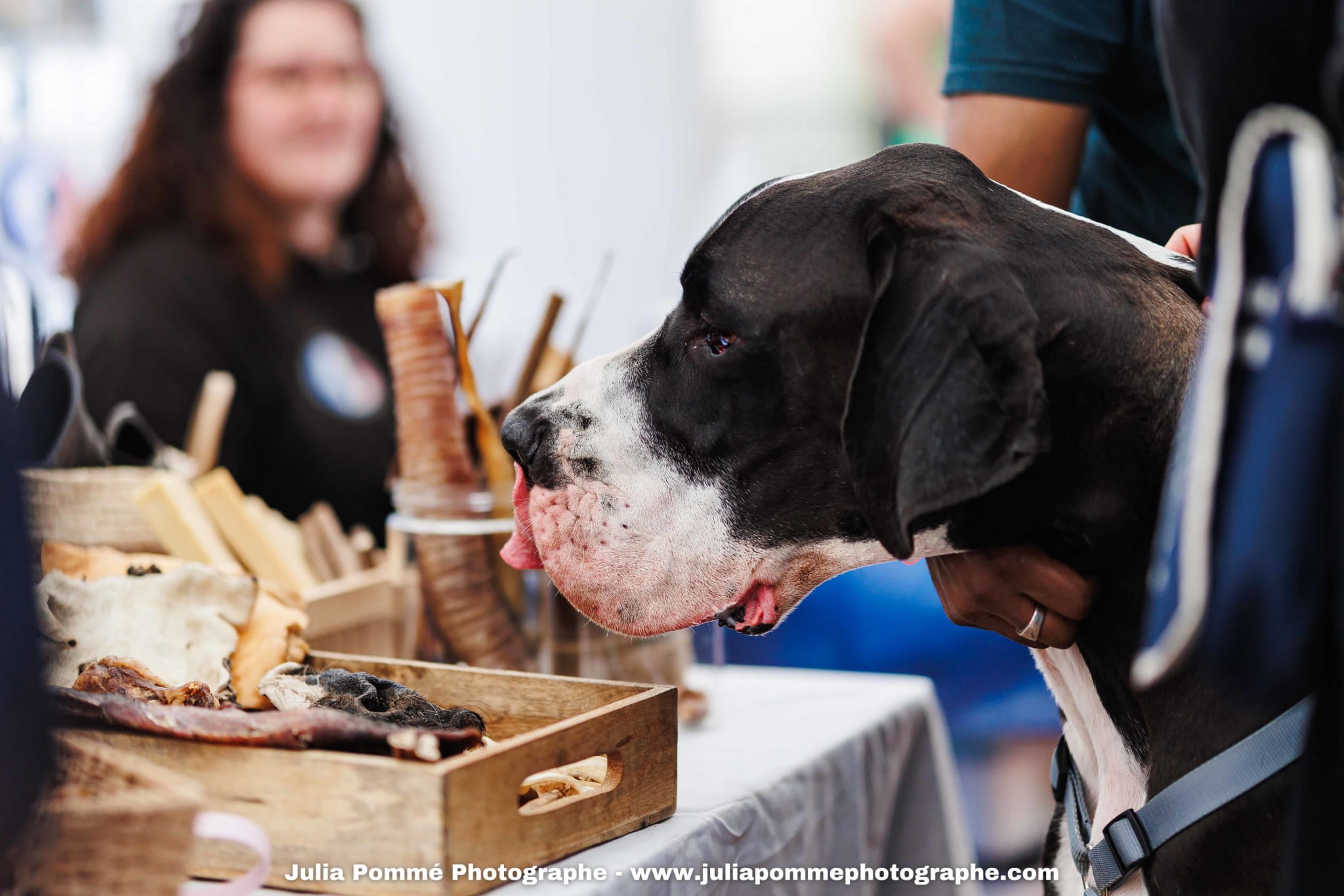 Photo du salon 2025 par Julia Pommé Photographe.