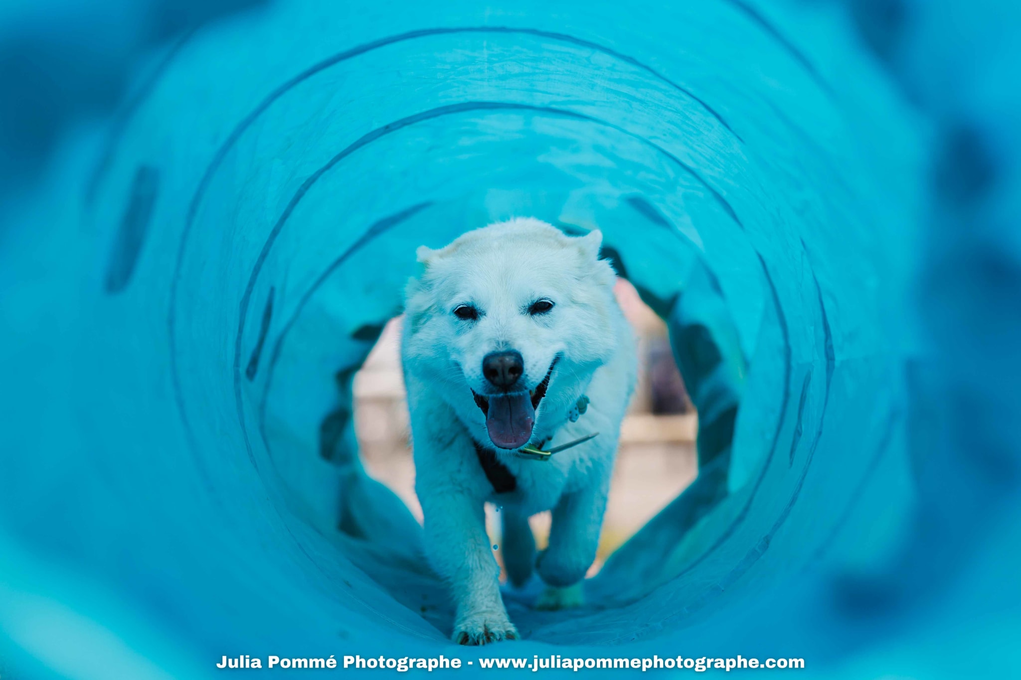 Photo du salon 2025 par Julia Pommé Photographe.