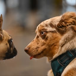 Photo du salon 2022.