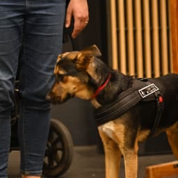 Photo du salon 2022.