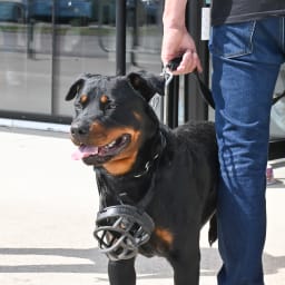 Photo du salon 2022.