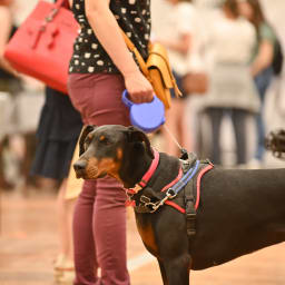 Photo du salon 2022.