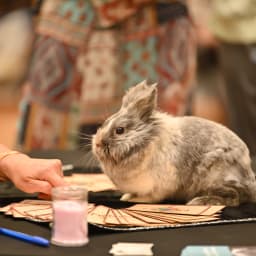 Photo du salon 2022.