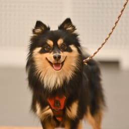 Photo du salon 2022.