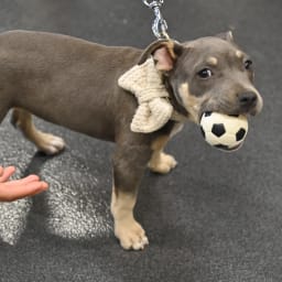 Photo du salon 2022.