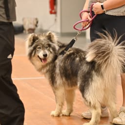 Photo du salon 2022.