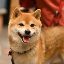 Photo du salon 2022.