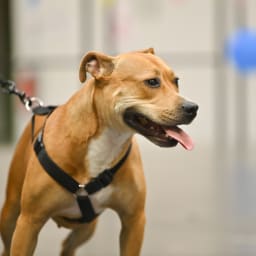 Photo du salon 2022.