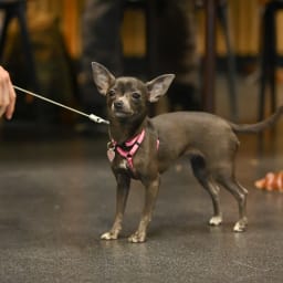 Photo du salon 2022.