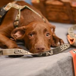 Photo du salon 2022.