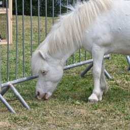 Photo du salon 2022.