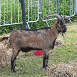 Photo du salon 2022.