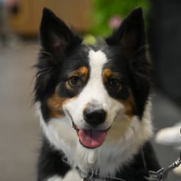 Photo du salon 2022.