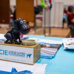 Photo du salon 2023 par Julia Pommé Photographe.