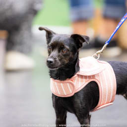 Photo du salon 2023 par Julia Pommé Photographe.