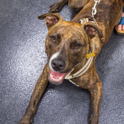 Photo du salon 2023 par Julia Pommé Photographe.