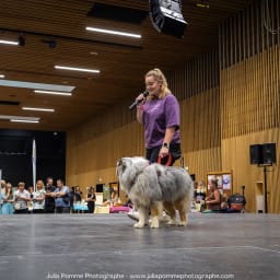 Photo du salon 2023 par Julia Pommé Photographe.