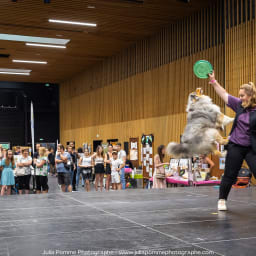 Photo du salon 2023 par Julia Pommé Photographe.