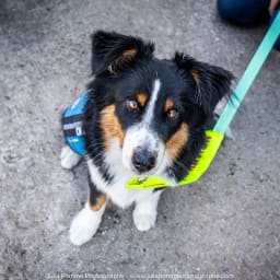 Photo du salon 2023 par Julia Pommé Photographe.