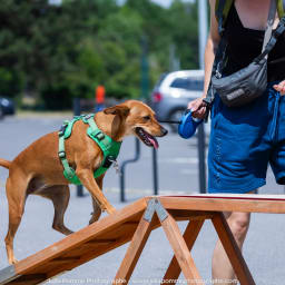 Photo du salon 2023 par Julia Pommé Photographe.