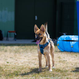 Photo du salon 2023 par Julia Pommé Photographe.