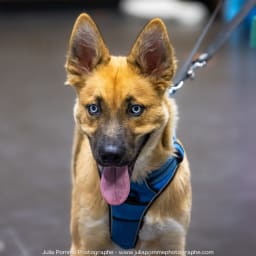 Photo du salon 2023 par Julia Pommé Photographe.