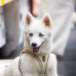 Photo du salon 2023 par Julia Pommé Photographe.