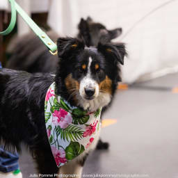 Photo du salon 2023 par Julia Pommé Photographe.