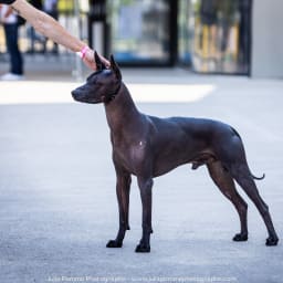 Photo du salon 2023 par Julia Pommé Photographe.