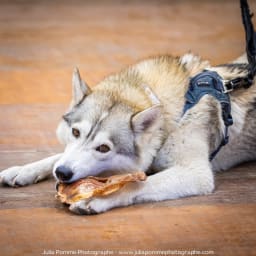 Photo du salon 2023 par Julia Pommé Photographe.