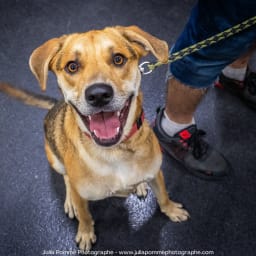 Photo du salon 2023 par Julia Pommé Photographe.