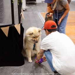 Photo du salon 2023 par Julia Pommé Photographe.