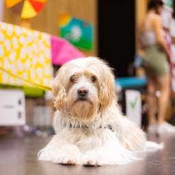 Photo du salon 2023 par Julia Pommé Photographe.