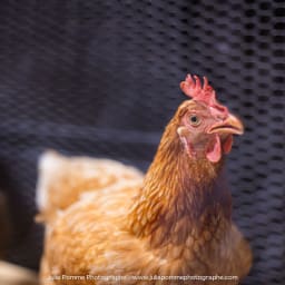 Photo du salon 2023 par Julia Pommé Photographe.