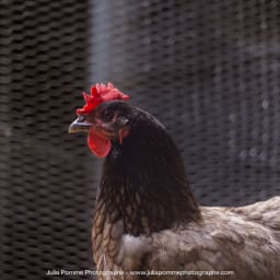 Photo du salon 2023 par Julia Pommé Photographe.