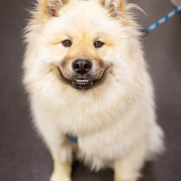 Photo du salon 2023 par Julia Pommé Photographe.