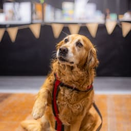 Photo du salon 2023 par Julia Pommé Photographe.