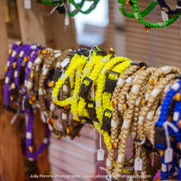 Photo du salon 2023 par Julia Pommé Photographe.