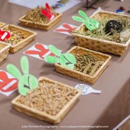 Photo du salon 2023 par Julia Pommé Photographe.