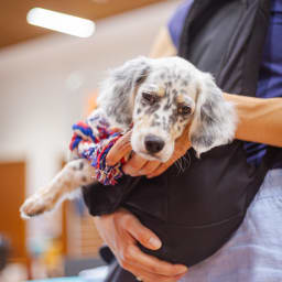 Photo du salon 2023 par Julia Pommé Photographe.