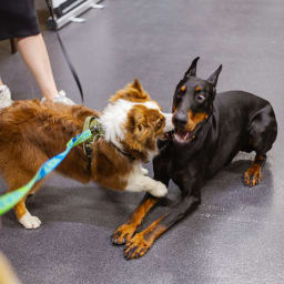 Photo du salon 2023 par Julia Pommé Photographe.
