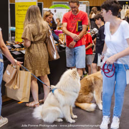 Photo du salon 2023 par Julia Pommé Photographe.