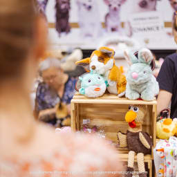 Photo du salon 2023 par Julia Pommé Photographe.