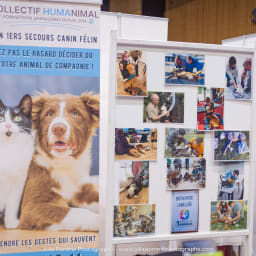 Photo du salon 2023 par Julia Pommé Photographe.