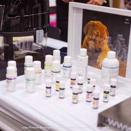 Photo du salon 2023 par Julia Pommé Photographe.