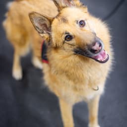 Photo du salon 2023 par Julia Pommé Photographe.