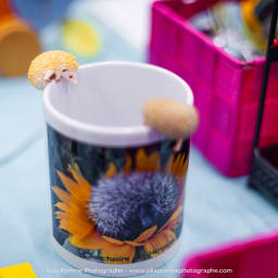 Photo du salon 2023 par Julia Pommé Photographe.